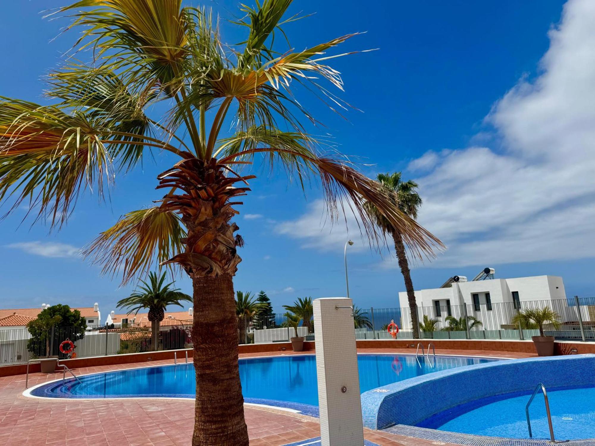 Stunning Apartments With Pool Tenerife Адехе Екстер'єр фото